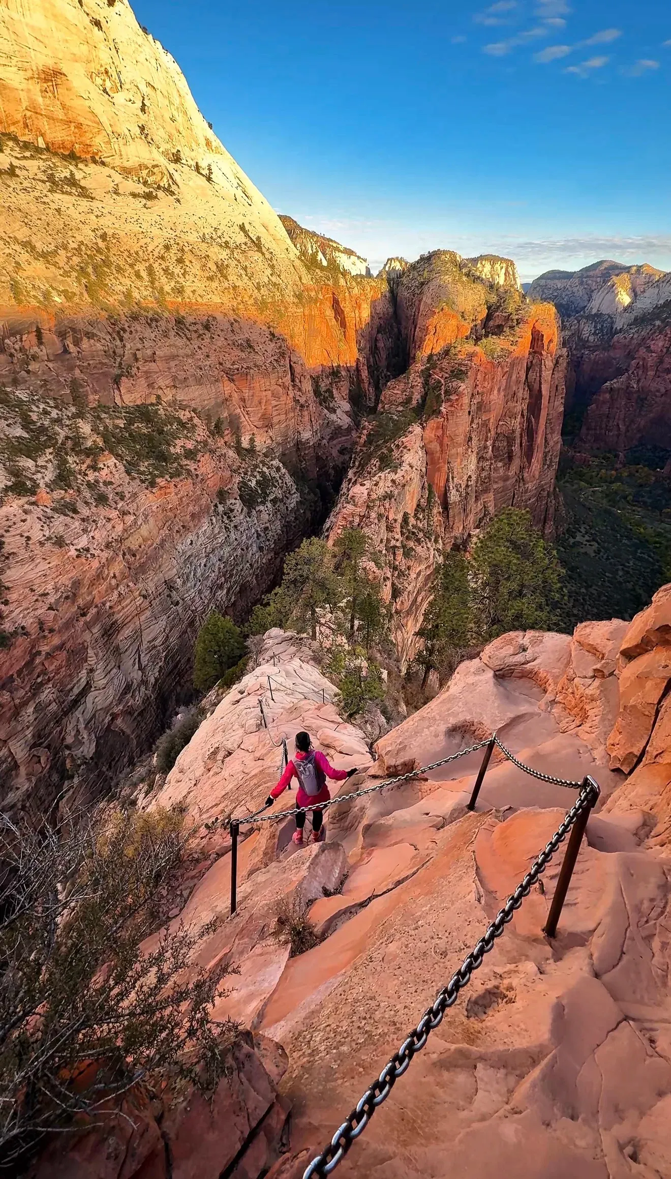 A hiker on the chained ridge of Angels Landing above Zion Canyon.