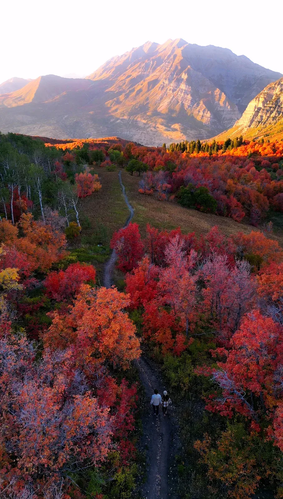 Drone view of a trail through red and orange autumn trees toward a peak.