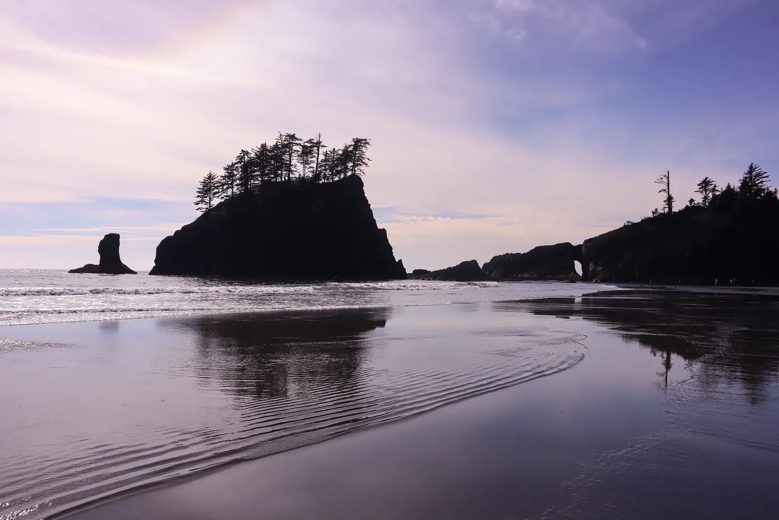 Tree-topped sea stacks reflected on a wet sand beach at dusk.