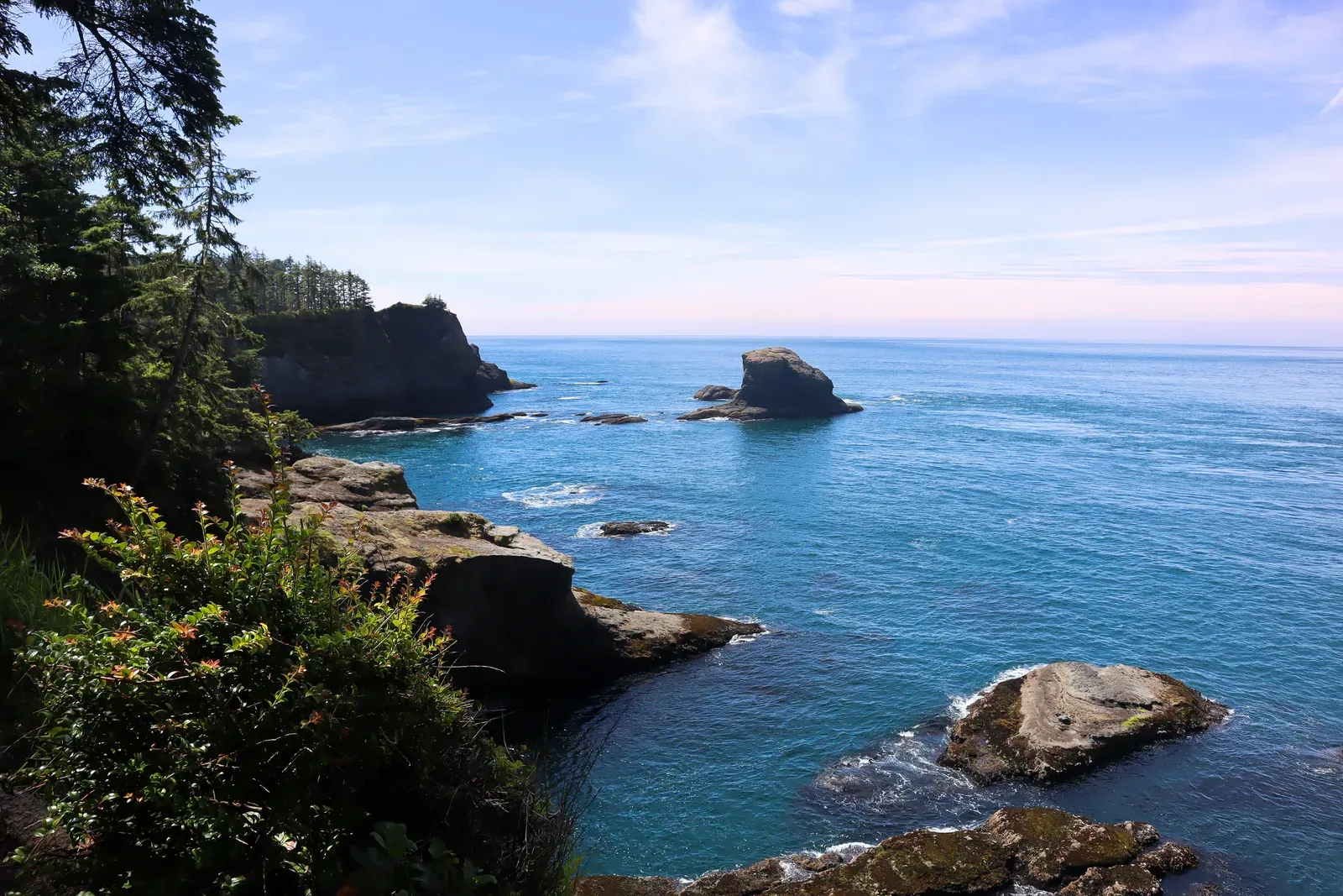 Rocky sea stacks in a deep blue cove framed by trees.