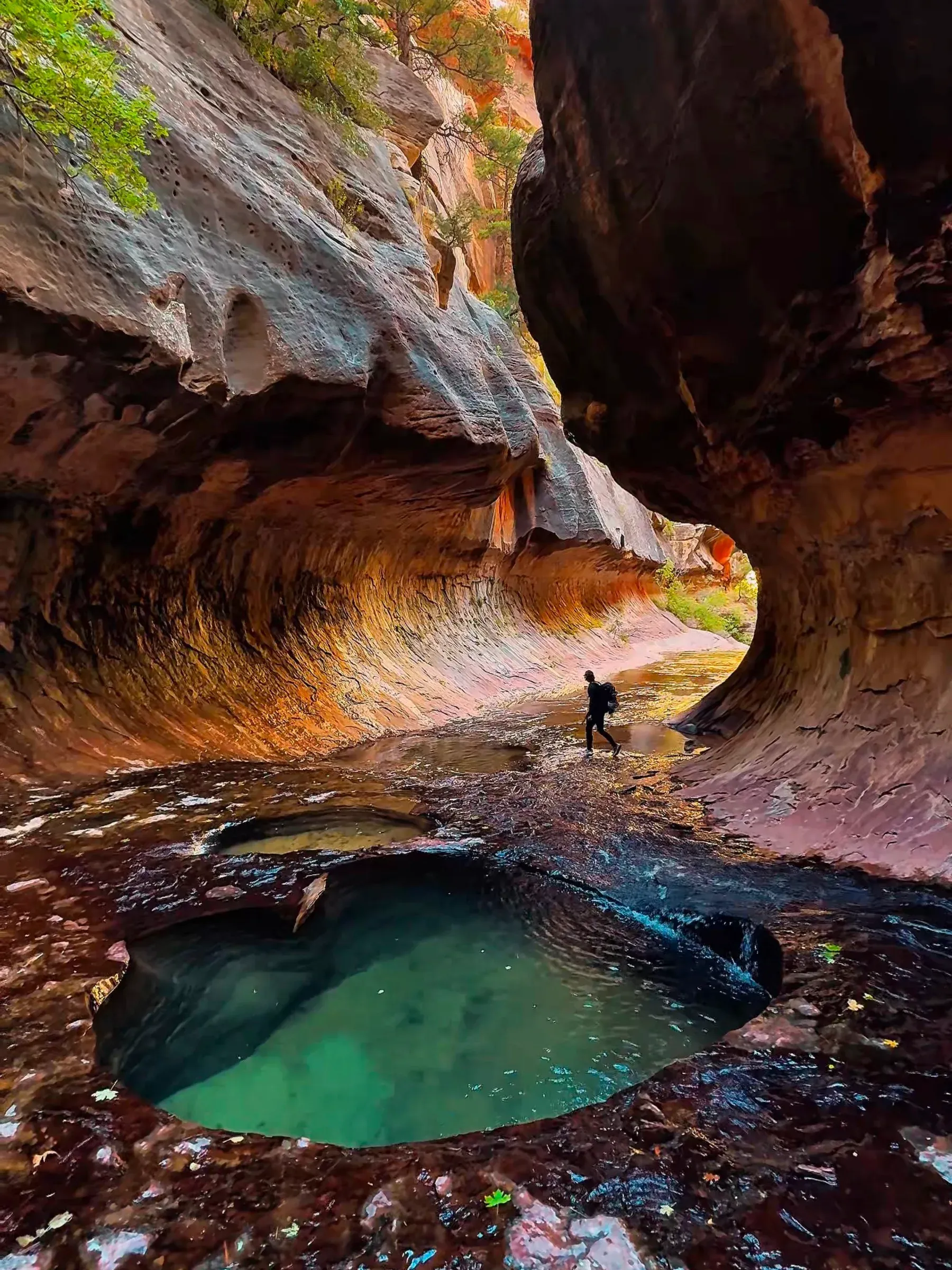 The Subway in Zion: a keyhole pool of green water under curving sandstone, a tiny hiker walking behind it.